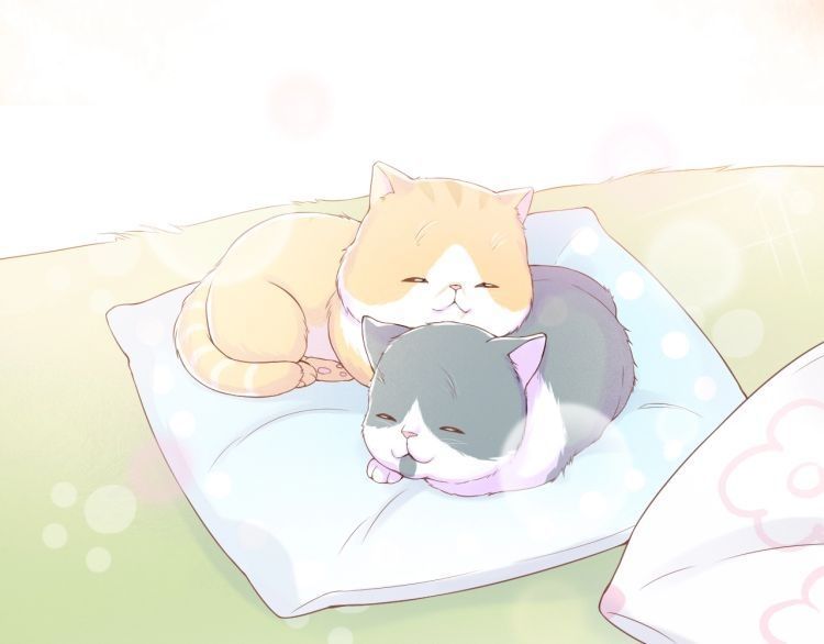 bên anh mới là cả thế giới chapter 1 96