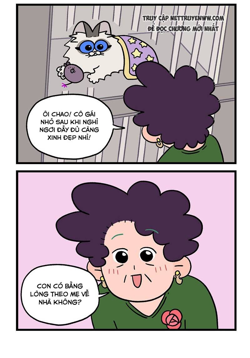 a mãn và mạch trà chapter 48.1 6