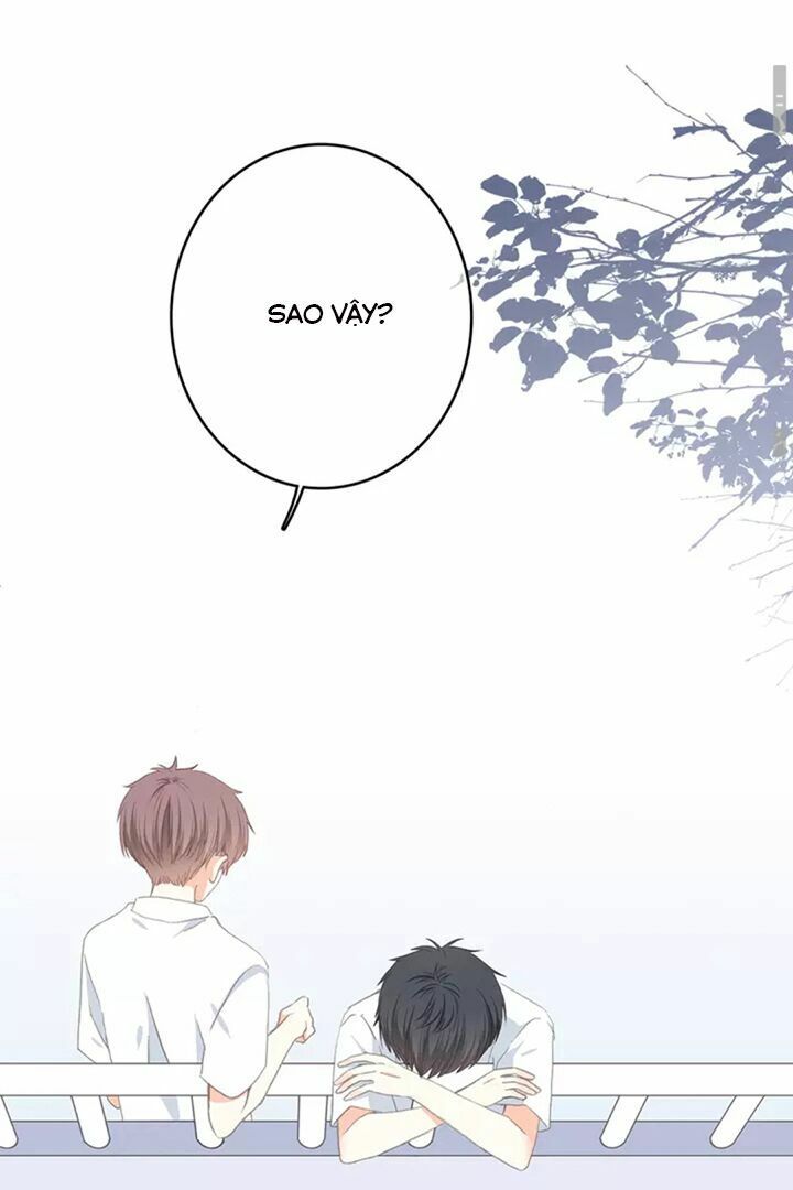 con tim rung động 2 chapter 6 28