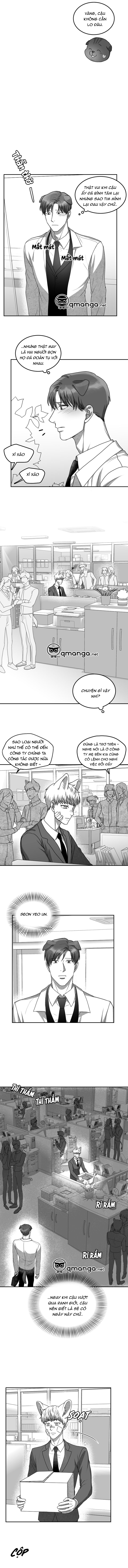 khi cún biết yêu chapter 19 11