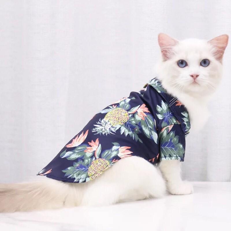 Áo sơ mi hoa phong cách hawai cho chó mèo có đến size 30kg
