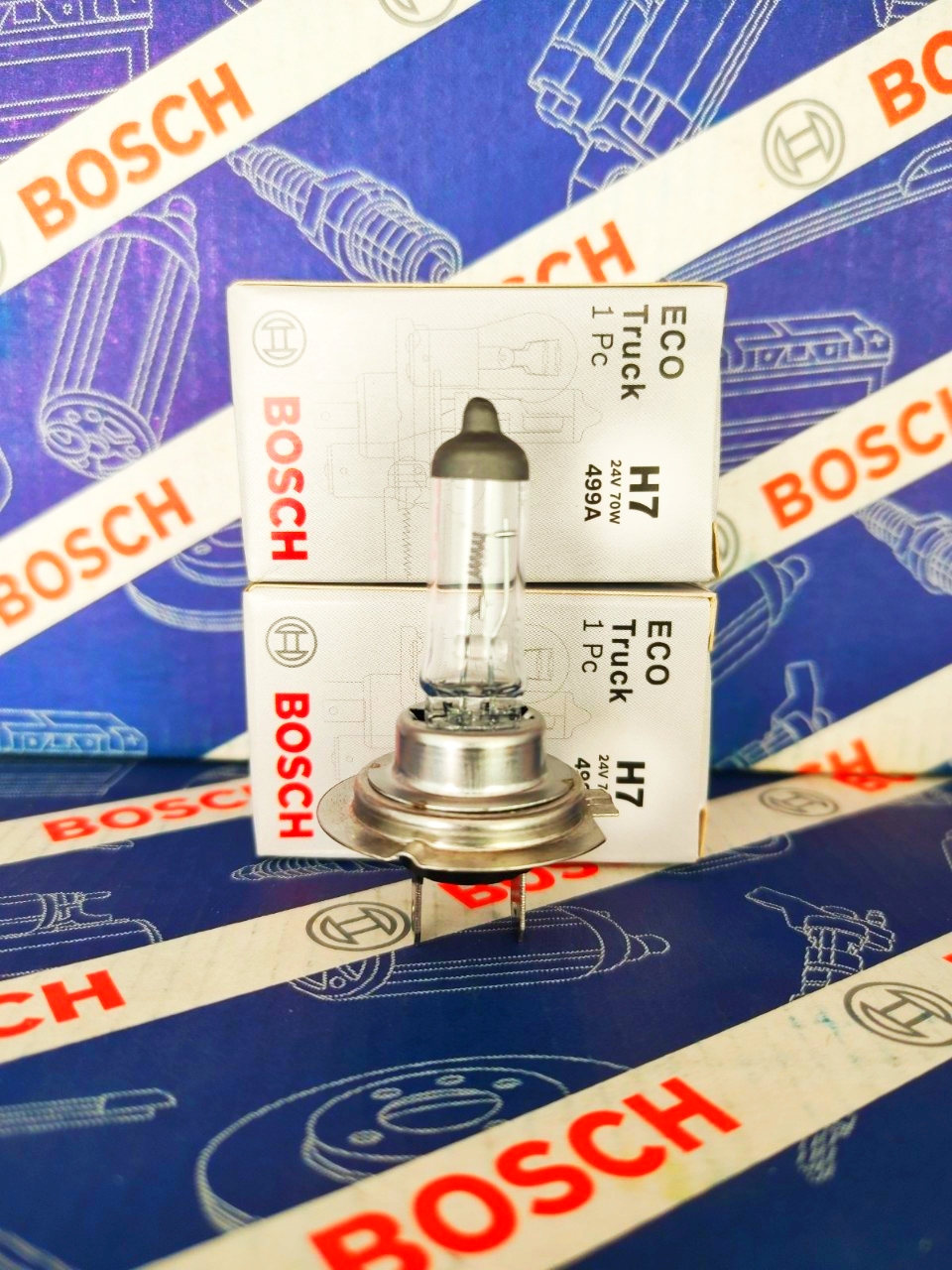 Bóng Đèn Xe Tải Bosch H7 24V 70W