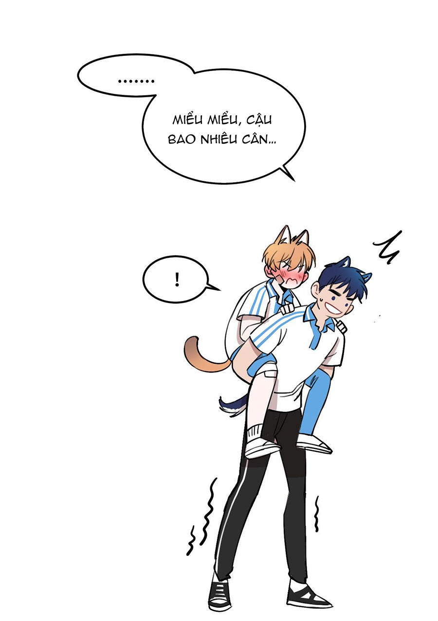 rốt cuộc bé mèo đang nghĩ gì ? chapter 13 36
