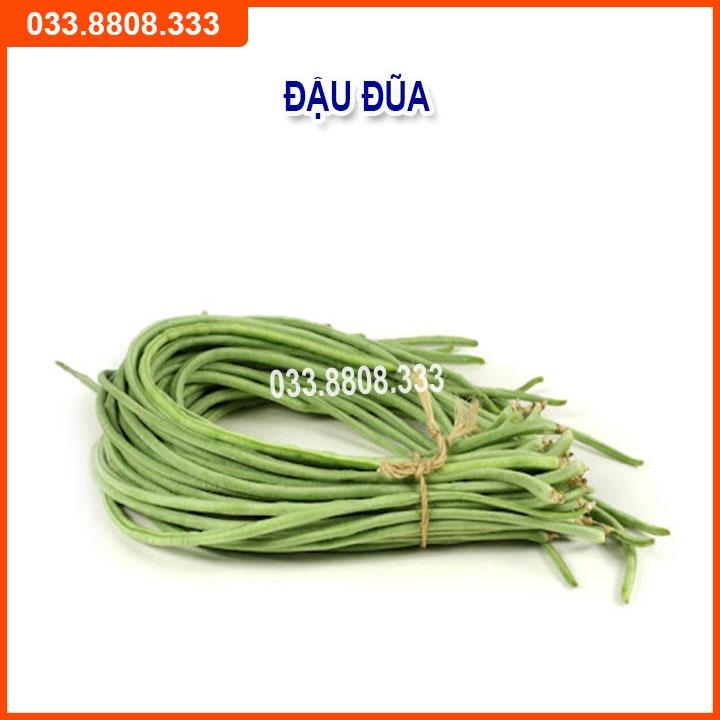 Bộ 4 Hạt Giống Đậu Đỗ Dưa Chuột
