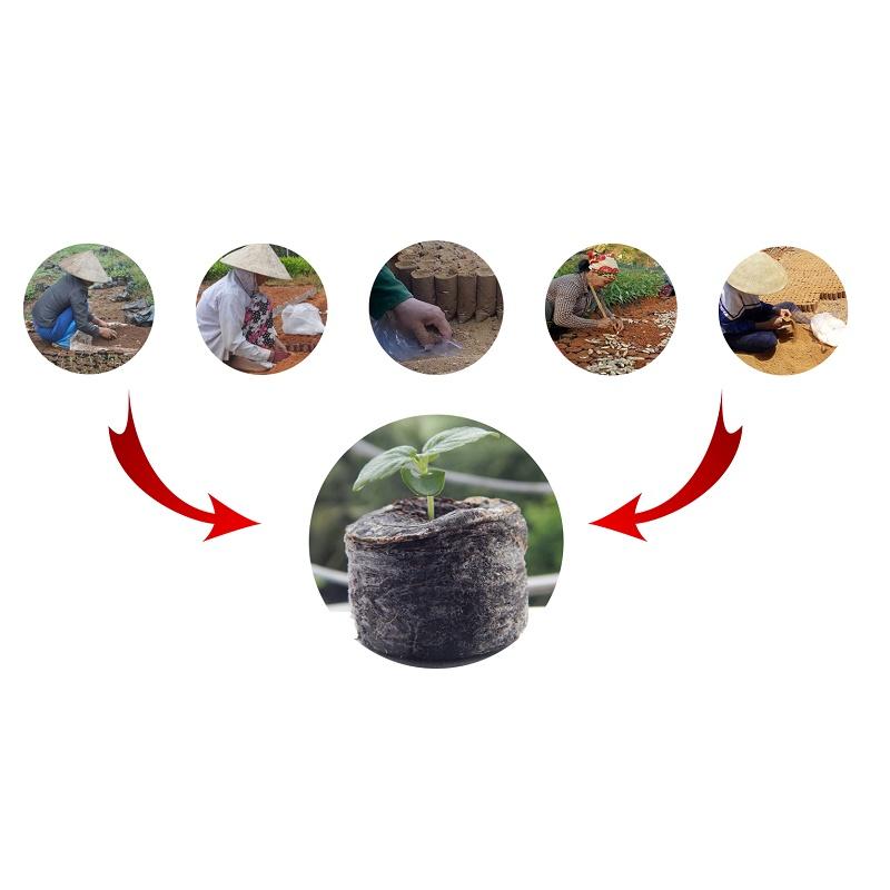 100 viên nén xơ dừa|| Viên nén ươm hạt xơ dừa, kích thích nãy mầm