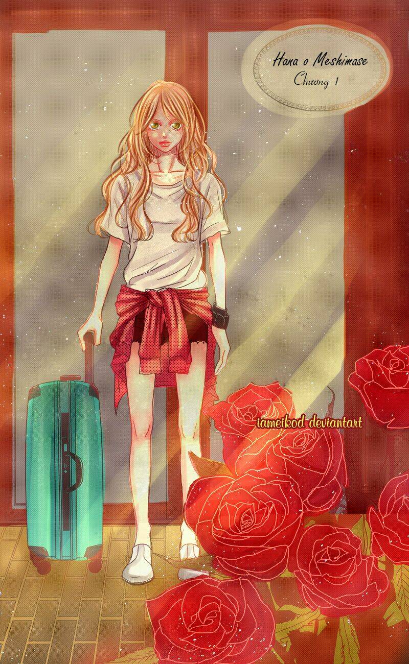 đóa hoa năm ấy chapter 1 6