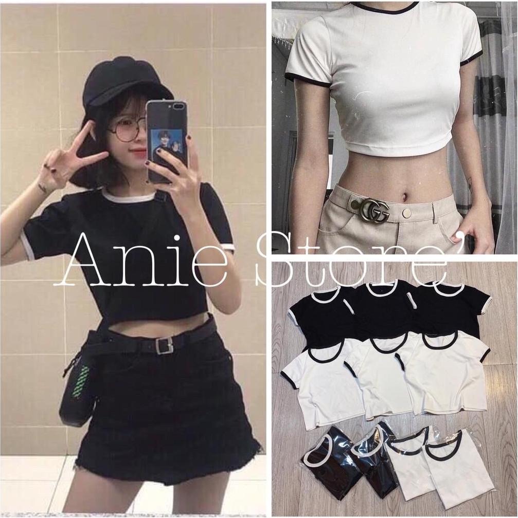 Áo Thun Croptop Nữ Body Viền