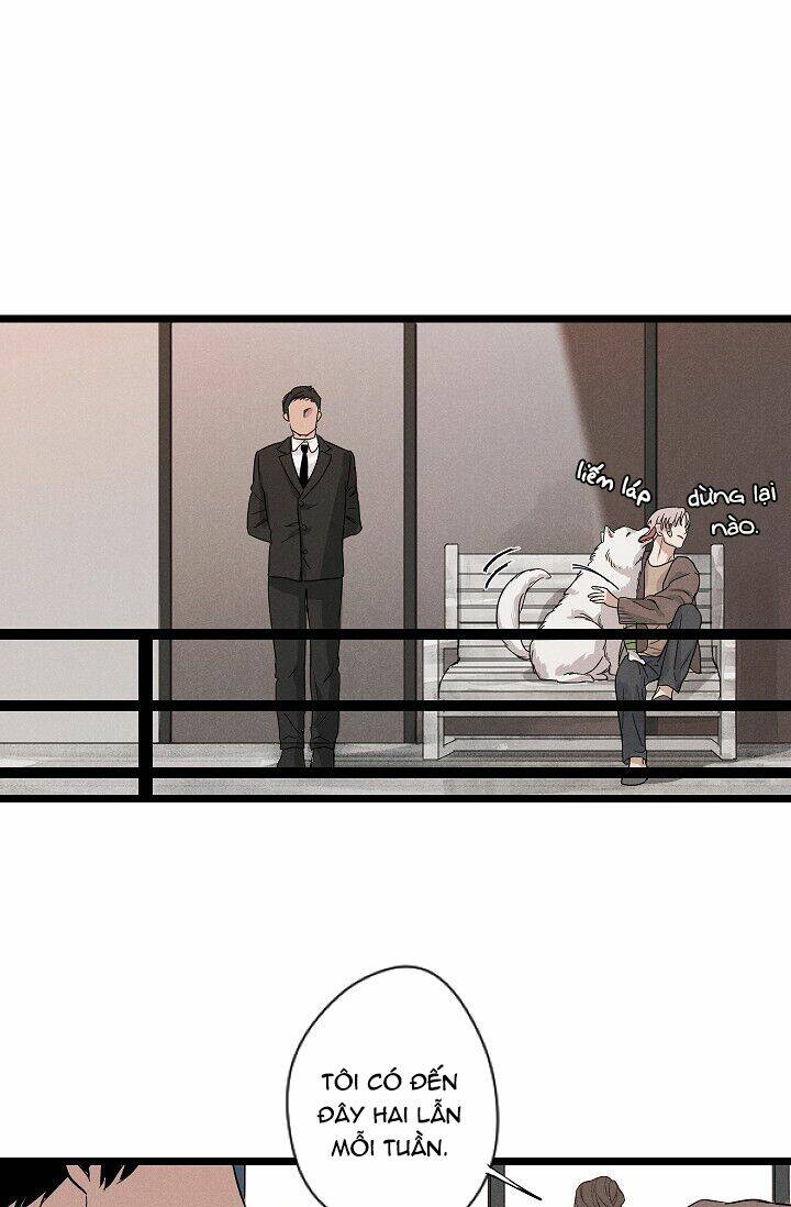 trốn tìm chapter 1 27