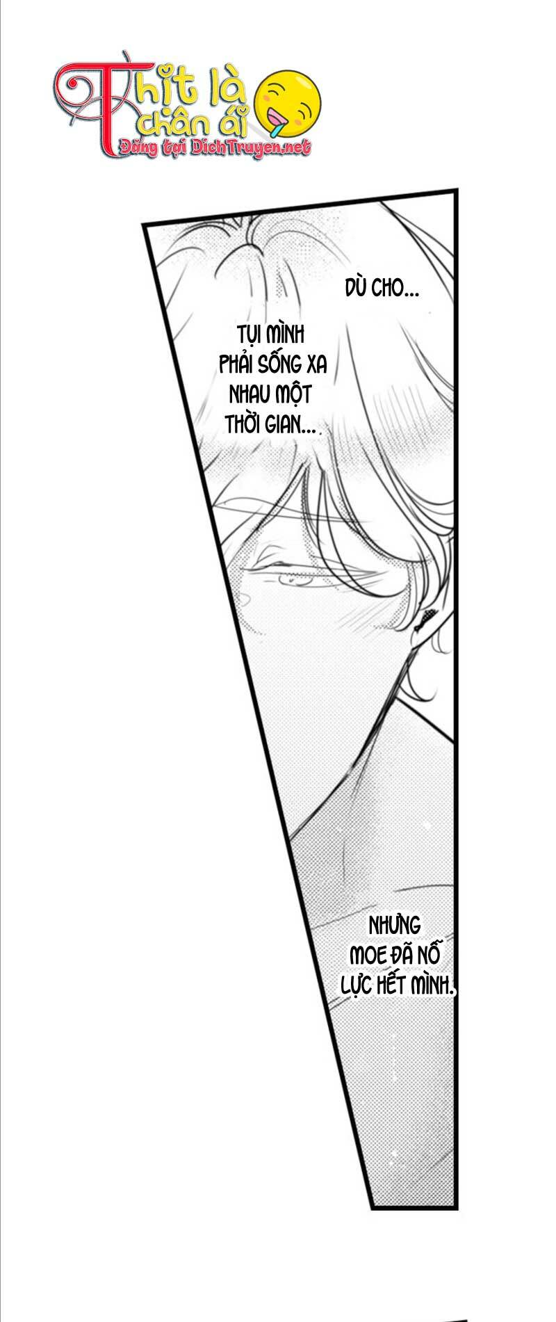 sai rồi, sếp tây nhà tôi không phải là quý ông đâu! chapter 43 25