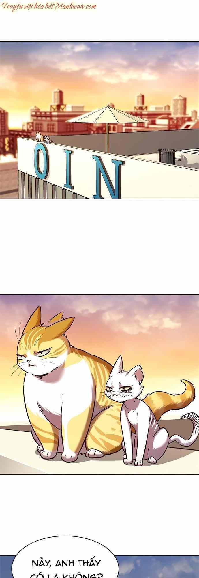 biến thân thành mèo chapter 232 34