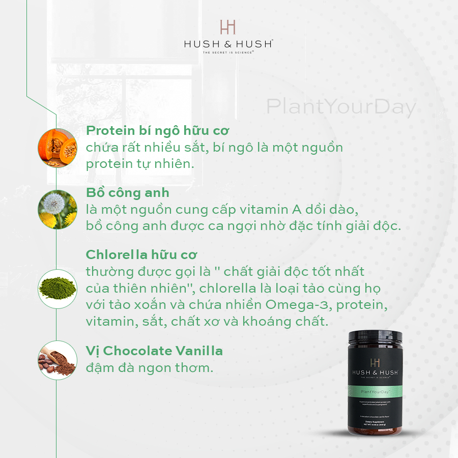 Bột Protein Thuần Chay Bổ Sung Vitamin Và Năng Lượng - Hush &amp; Hush Plant Your Day 402g