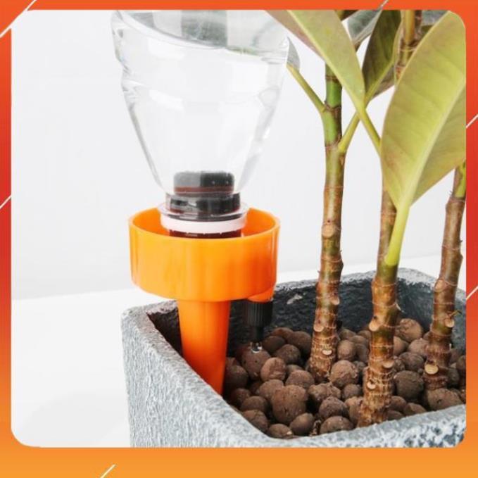 Set 12 que cắm tưới cây nhỏ giọt 208801-2