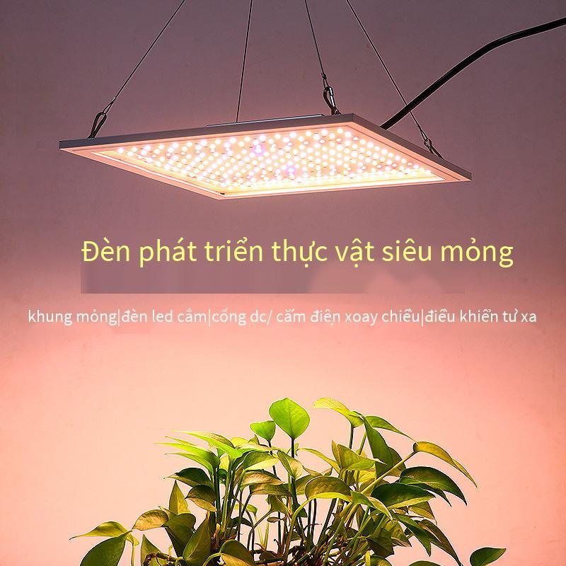 Giao hàng nhanh đèn LED công suất cao ánh sáng nhà máy bảng lượng tử toàn phổ thời gian làm mờ điều chỉnh thông minh ánh sáng lấp đầy mọng nước ánh sáng nhà máy