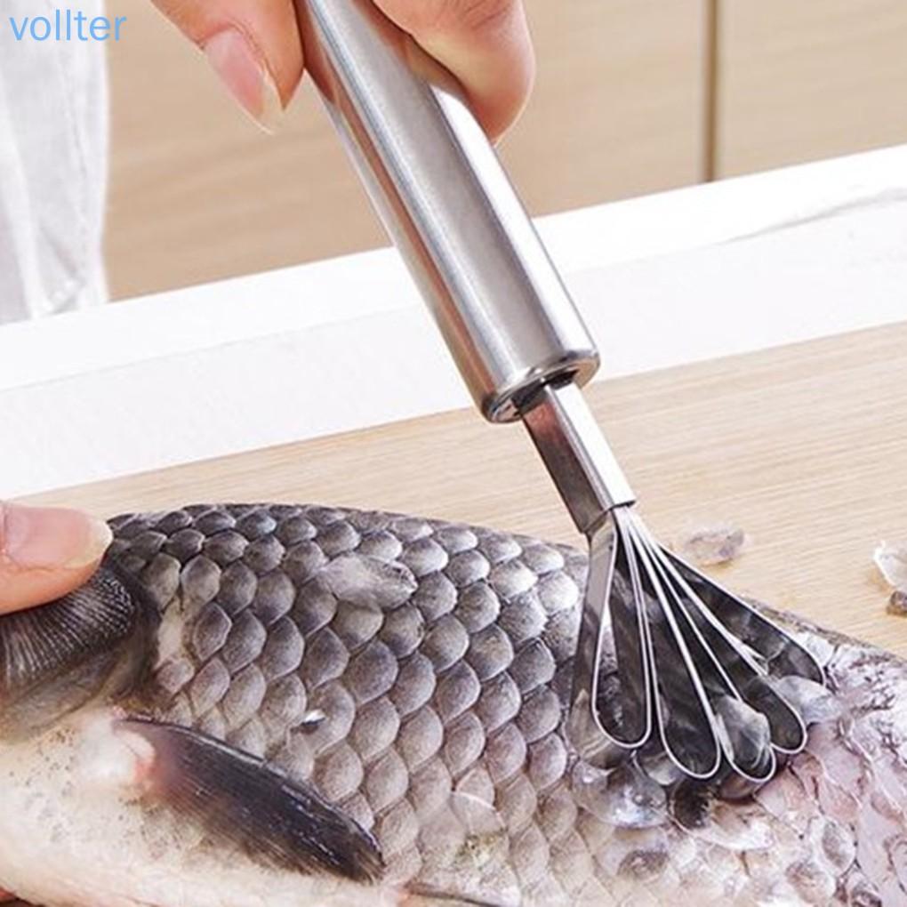 Dụng Cụ Đánh Vảy Cá Bằng Thép Không Gỉ Tiện Lợi