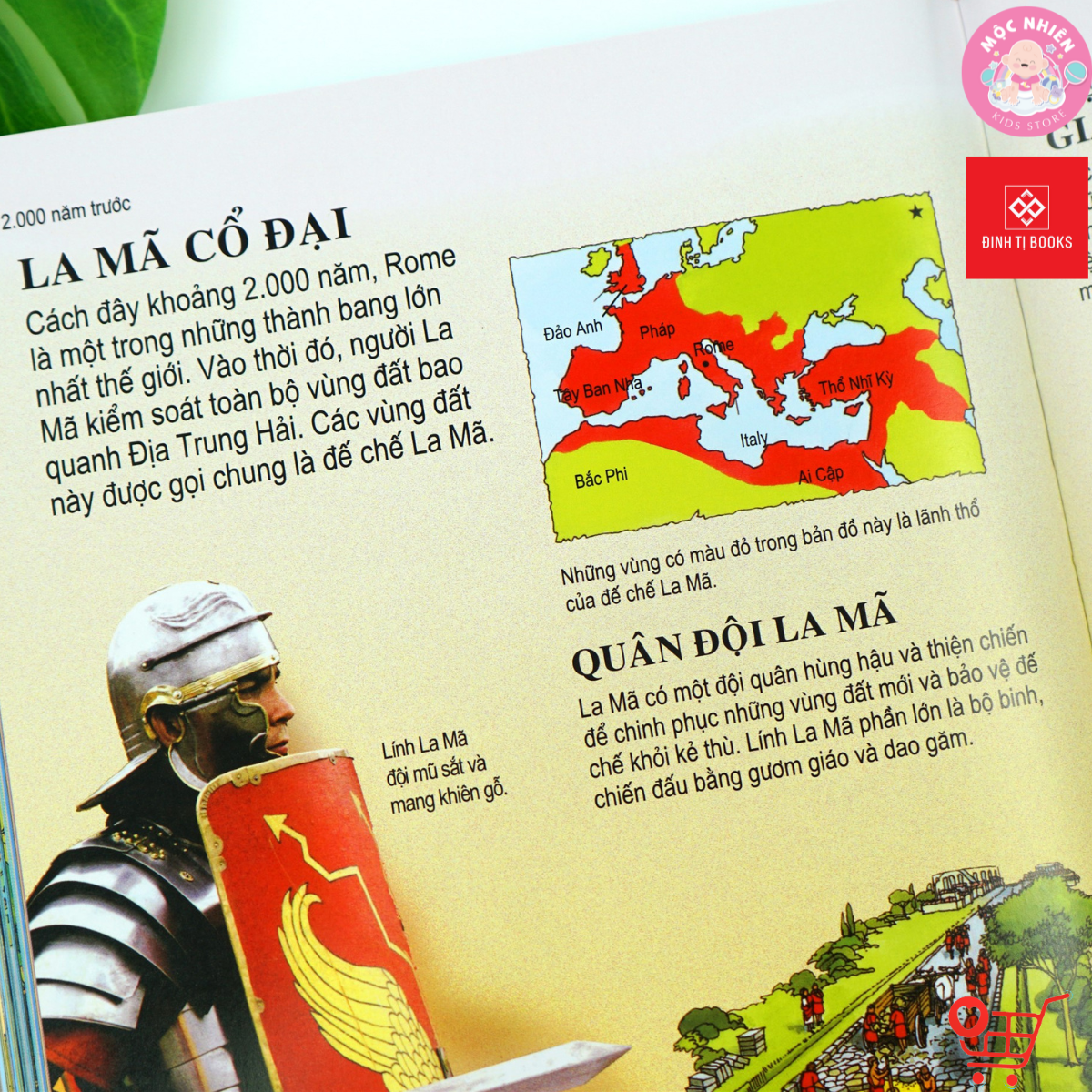 Sách thiếu nhi - Bách khoa tri thức dành cho trẻ em  - Tái bản 2022 - Đinh Tị Books