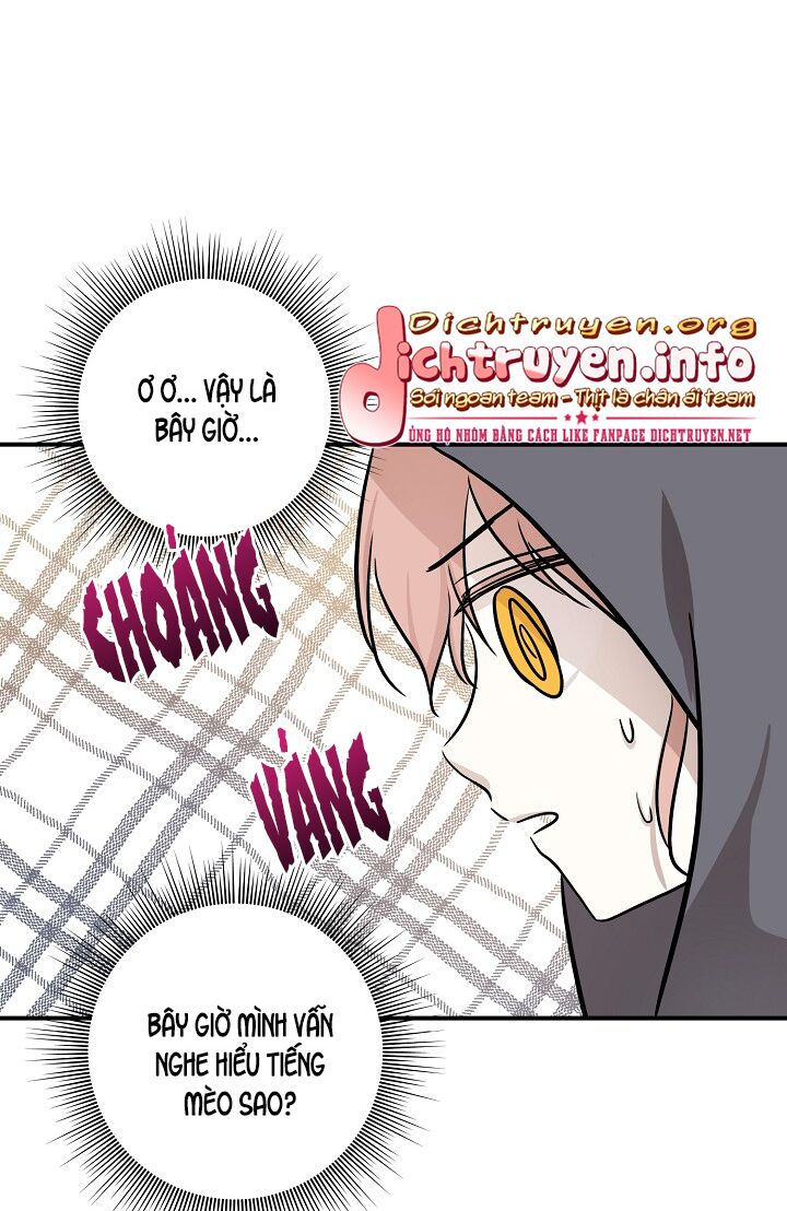 cuộc sống kỳ thú chapter 52 28