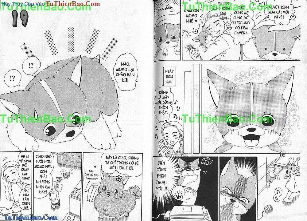 chó con mo mo chapter 1 67