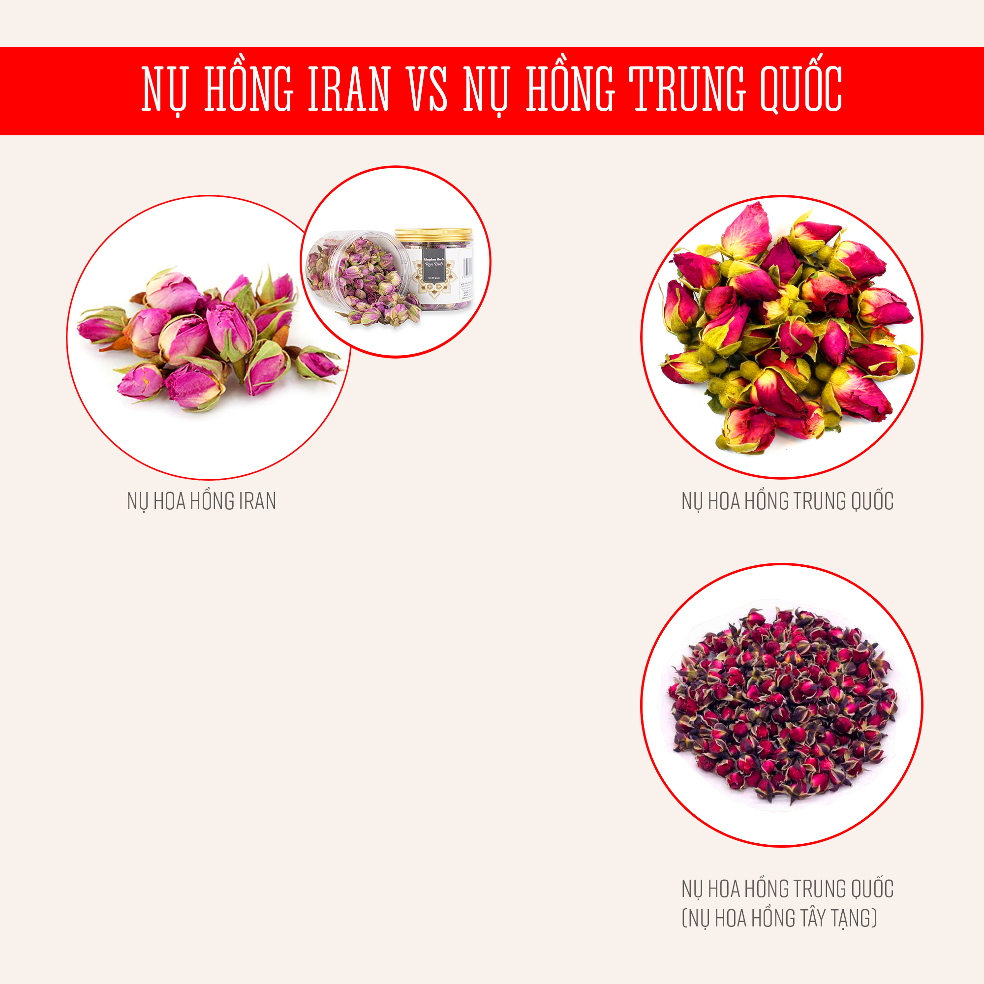 Trà hoa hồng khô Kingdom Herb Iran chính hãng hộp 50 gram, nụ hoa hồng khô thượng hạng (Tặng bình nước thủy tinh)