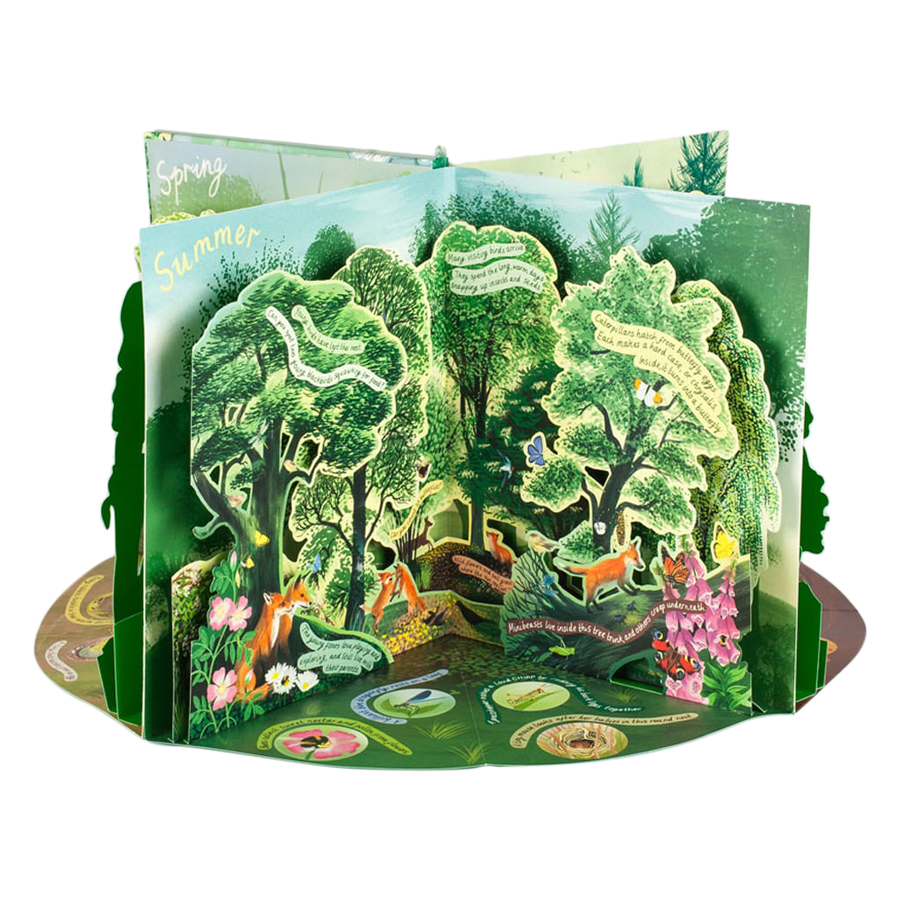 A Year in Nature: A Carousel Book of the Seasons (Pop-Up)