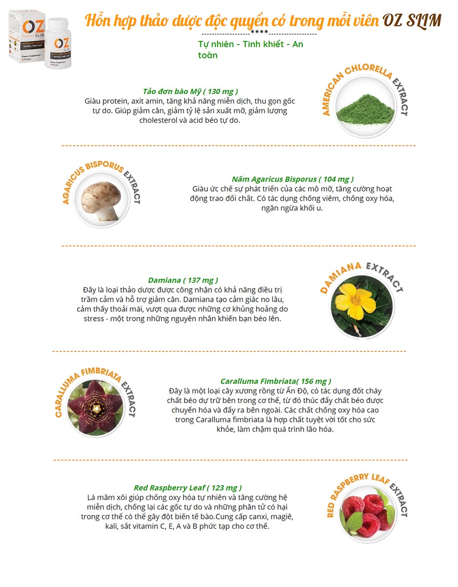 Hỗ trợ giảm cân thảo mộc Oz Slim Mỹ chiết xuất từ 6 loại cây trái tự nhiện - cải thiện giảm cân an toàn, hiệu quả, đẹp dáng, đẹp da - Massel Official