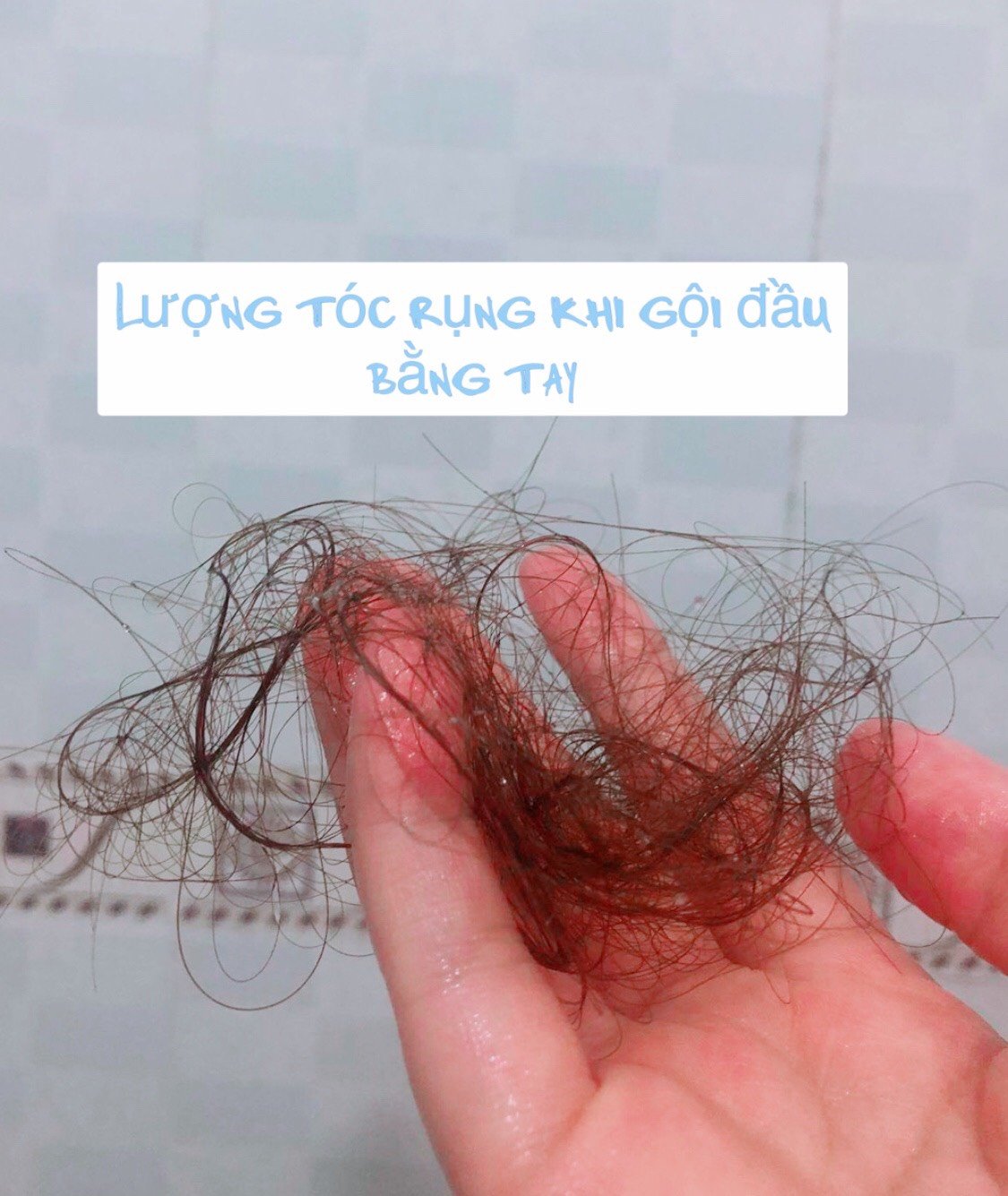 Lược Gội Đầu Aheads Hàn Quốc -  Gai Silicon Massage Da Đầu - Giảm Rụng Và Kích Thích Mọc Tóc