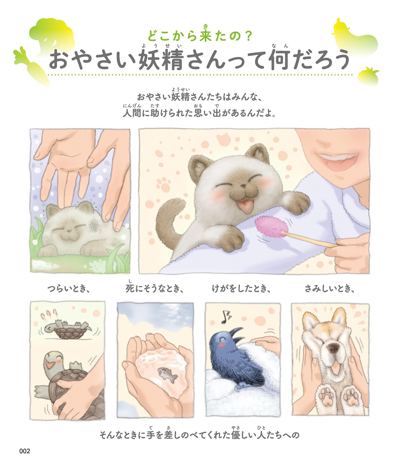 Sách ngoại văn: おやさい妖精さん 大図鑑 - O Yasai Yousei San Ouzu Akira