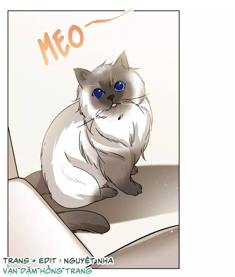 cô ấy đến rồi, xin nằm xuống! chapter 235 4