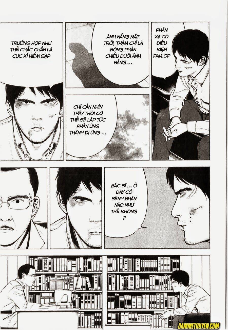 museum chapter 12 15