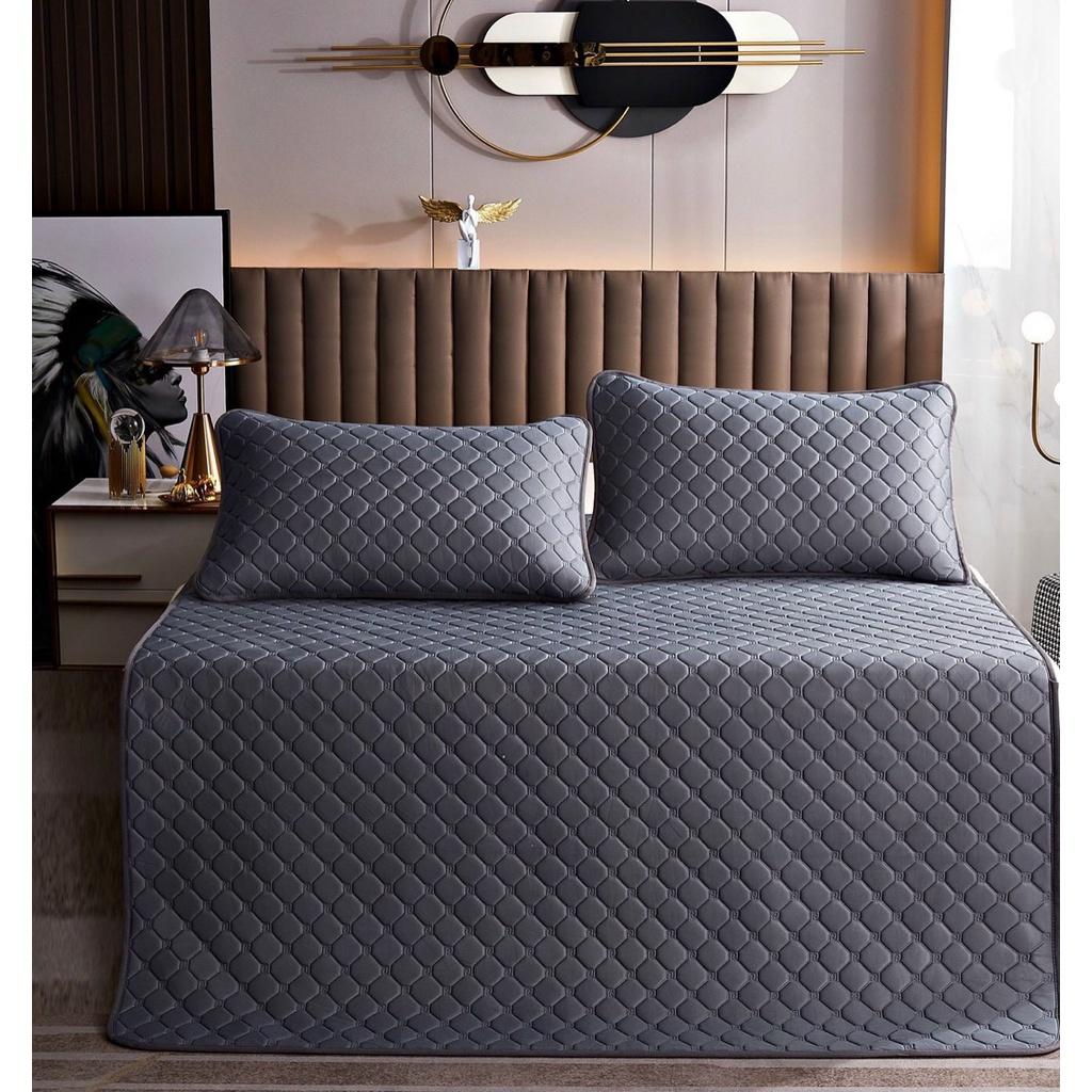 Chiếu Điều Hoà Cao Su Non Mát Lạnh 1 Màu Hàng Nhập Khẩu Cực Đẹp - Mát Mềm Mịn Giá Rẻ - bedding.1210