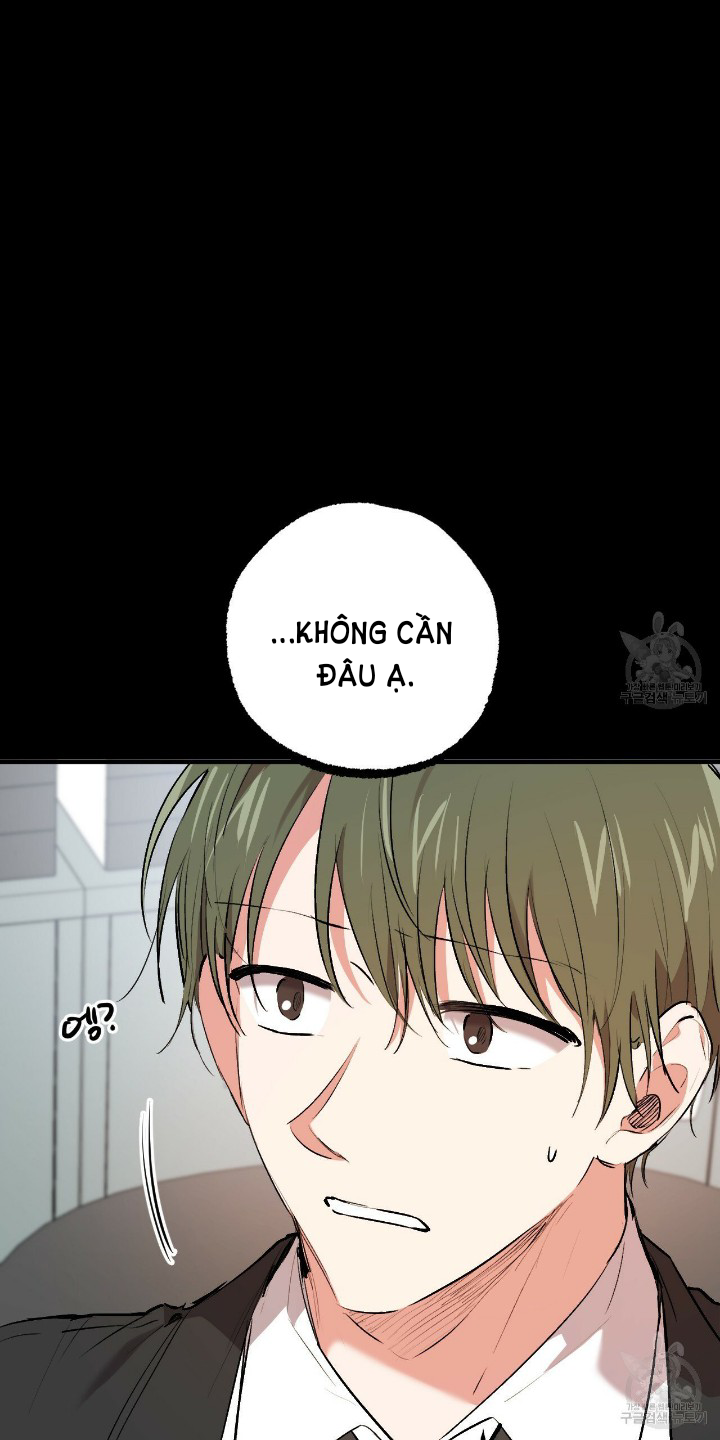 những chú thỏ của hapypy chapter 44 77