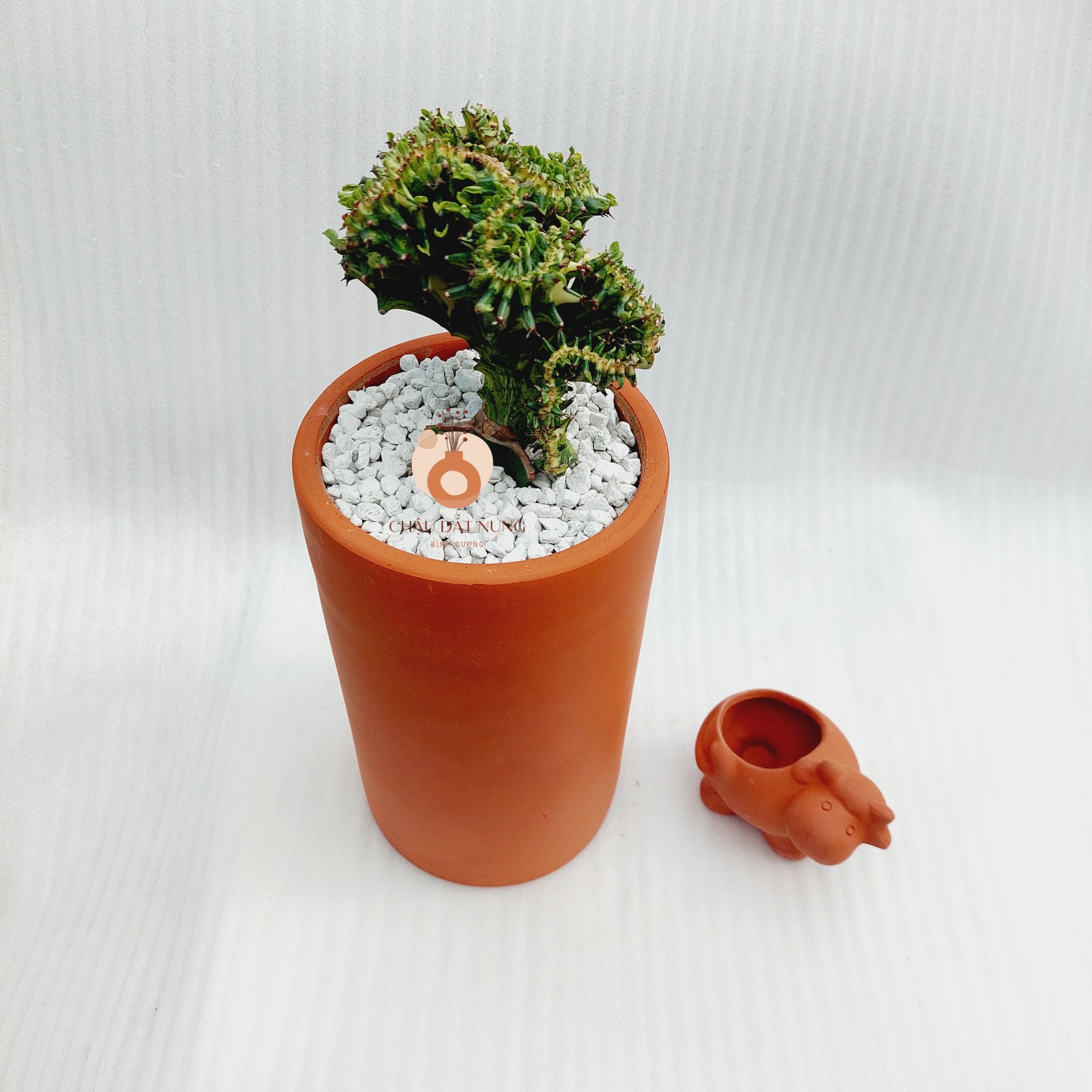 Chậu đất nung Bình Dương - Trụ cao 1424, đường kính miệng là 14cm, chiều cao là 24cm