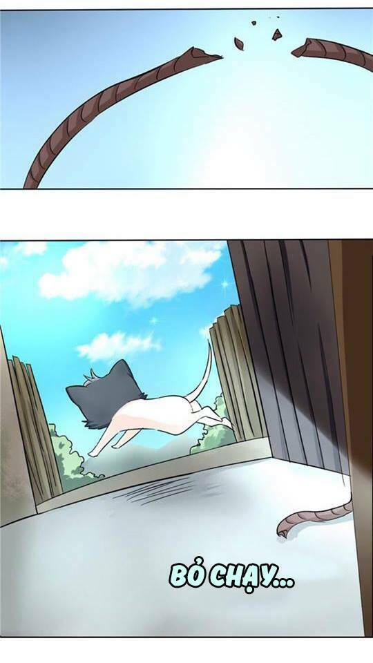 đạo sĩ cưới ta đi! chapter 2 12