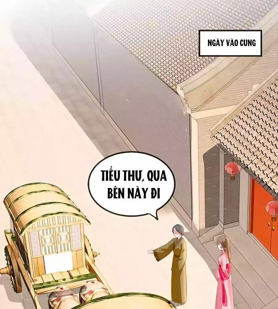 gian phi như thử đa kiều chapter 52 26