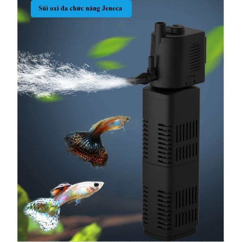 Lọc nước hồ cá mini