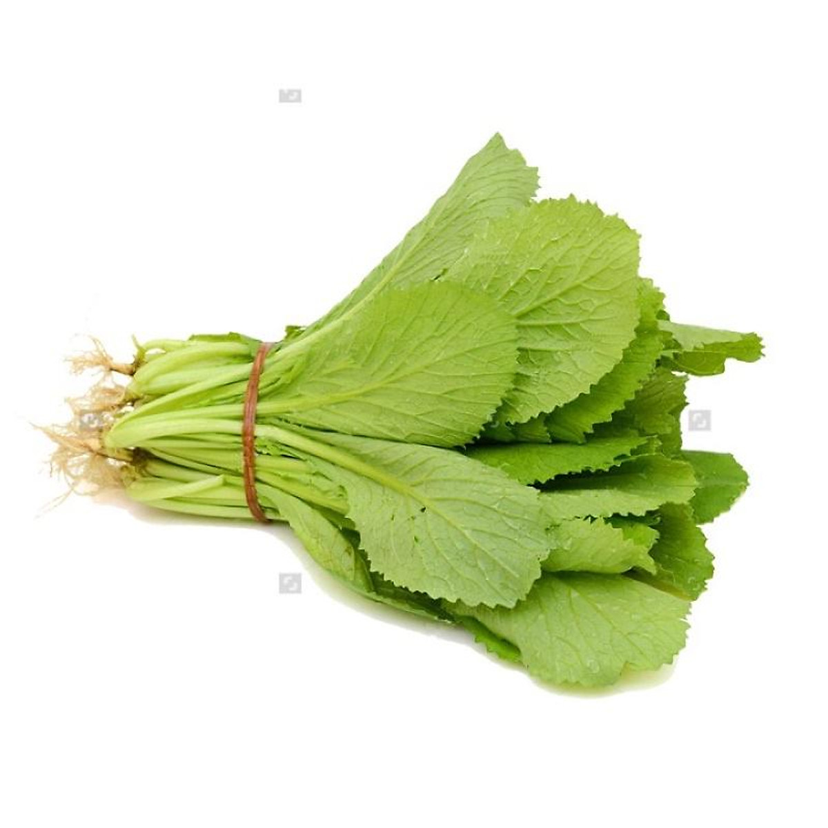 Hạt Giống Cải Canh Mơ Hà Nội 100 Hạt - Siêu Sale