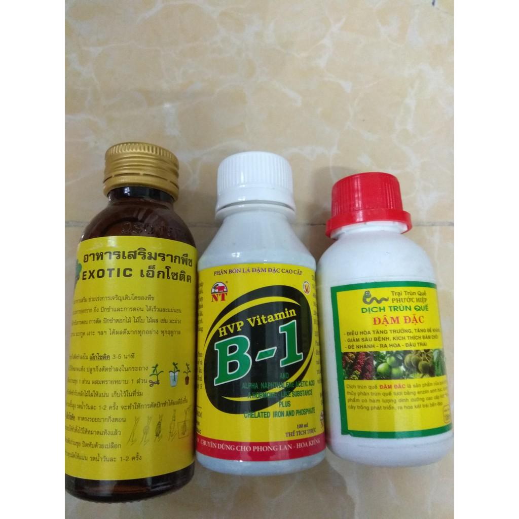 Combo kích rễ dưỡng cây Exotic - B1 HVP 100ml tặng chai dịch trùn quế đậm đặc 105ml