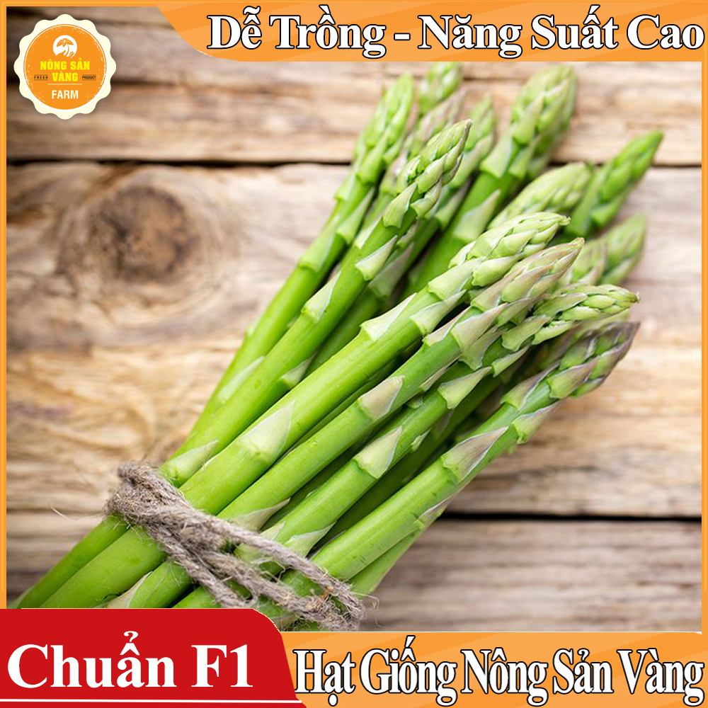 Hạt giống Măng Tây Xanh ( Gói 20 Hạt ) - Nông Sản Vàng