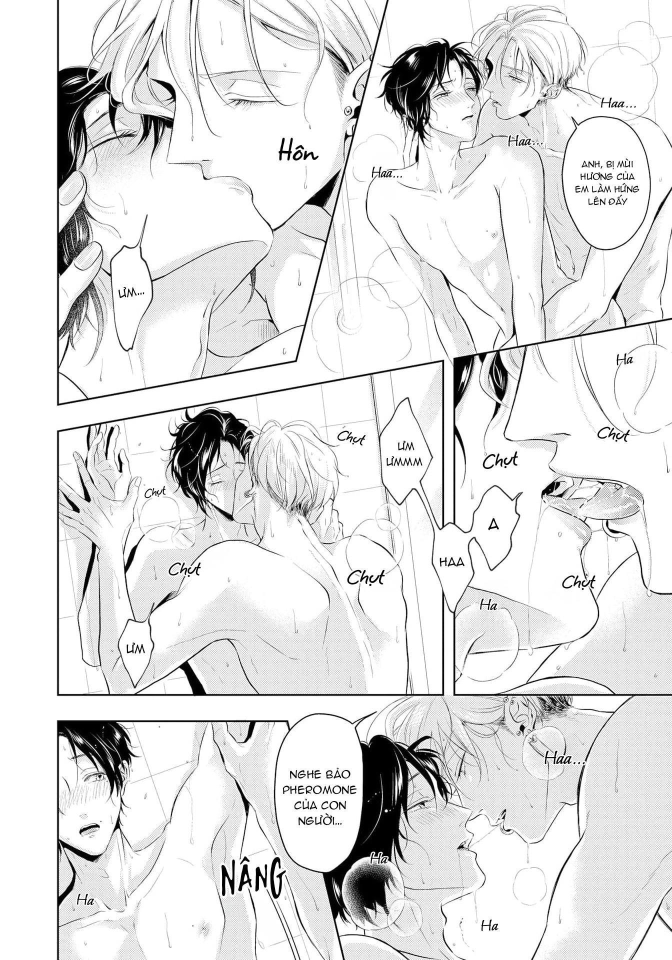 Mùi Hương Cậu Ấy Quá Cháy Bỏng Tôi Hứng Lên Rồi!! chapter 12.9 10