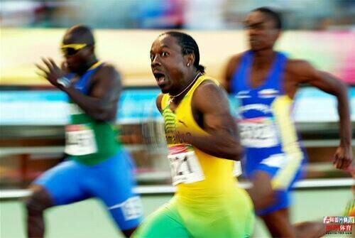 hình ảnh hài hước new chapter 13 30