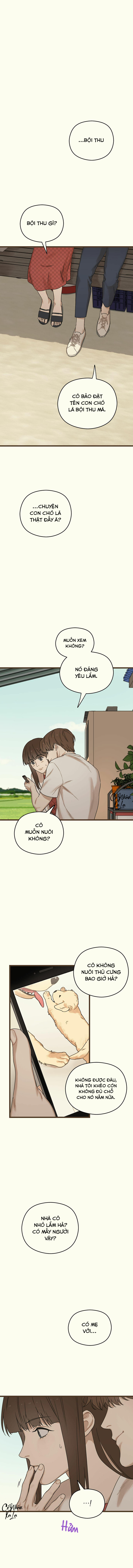 trùng phùng chapter 15 11