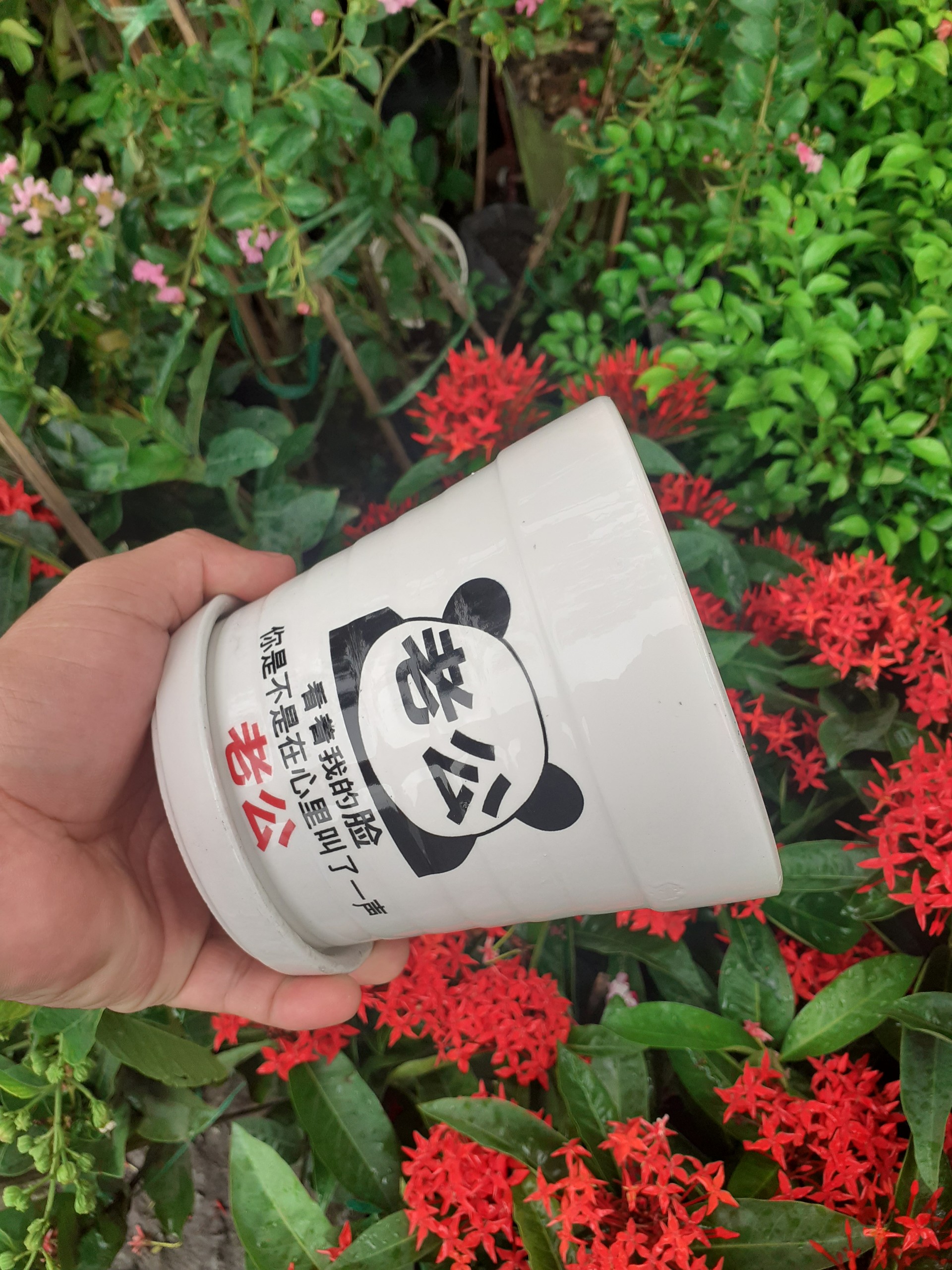 Chậu sứ tròn kèm dĩa trắng gấu panda kung fu