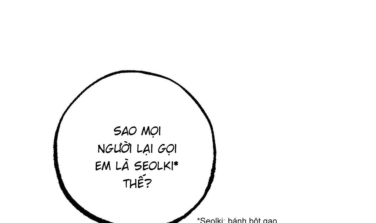 những chú thỏ của hapypy chapter 53 173