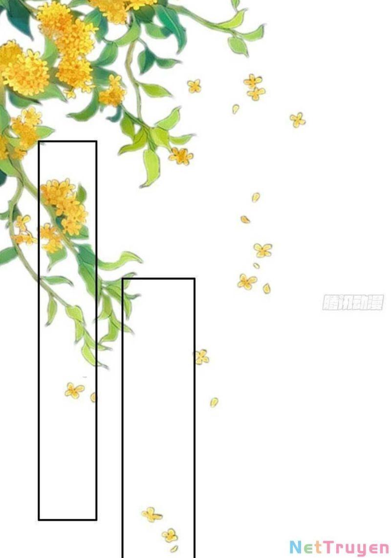 thuần hóa ba ba bạo quân chapter 97 35