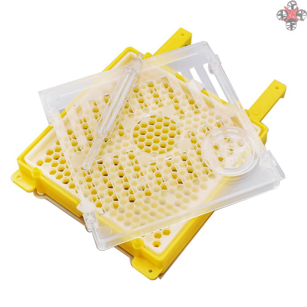 Lồng Nuôi Ong Chúa Kèm Bộ Phụ Kiện