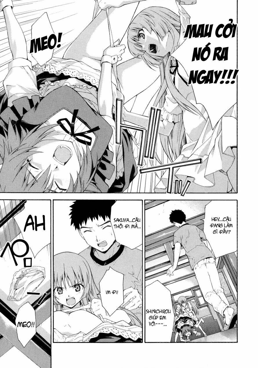 isuca chapter 13 7