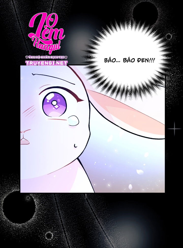 mối liên kết giữa báo đen và bé thỏ chapter 1 37