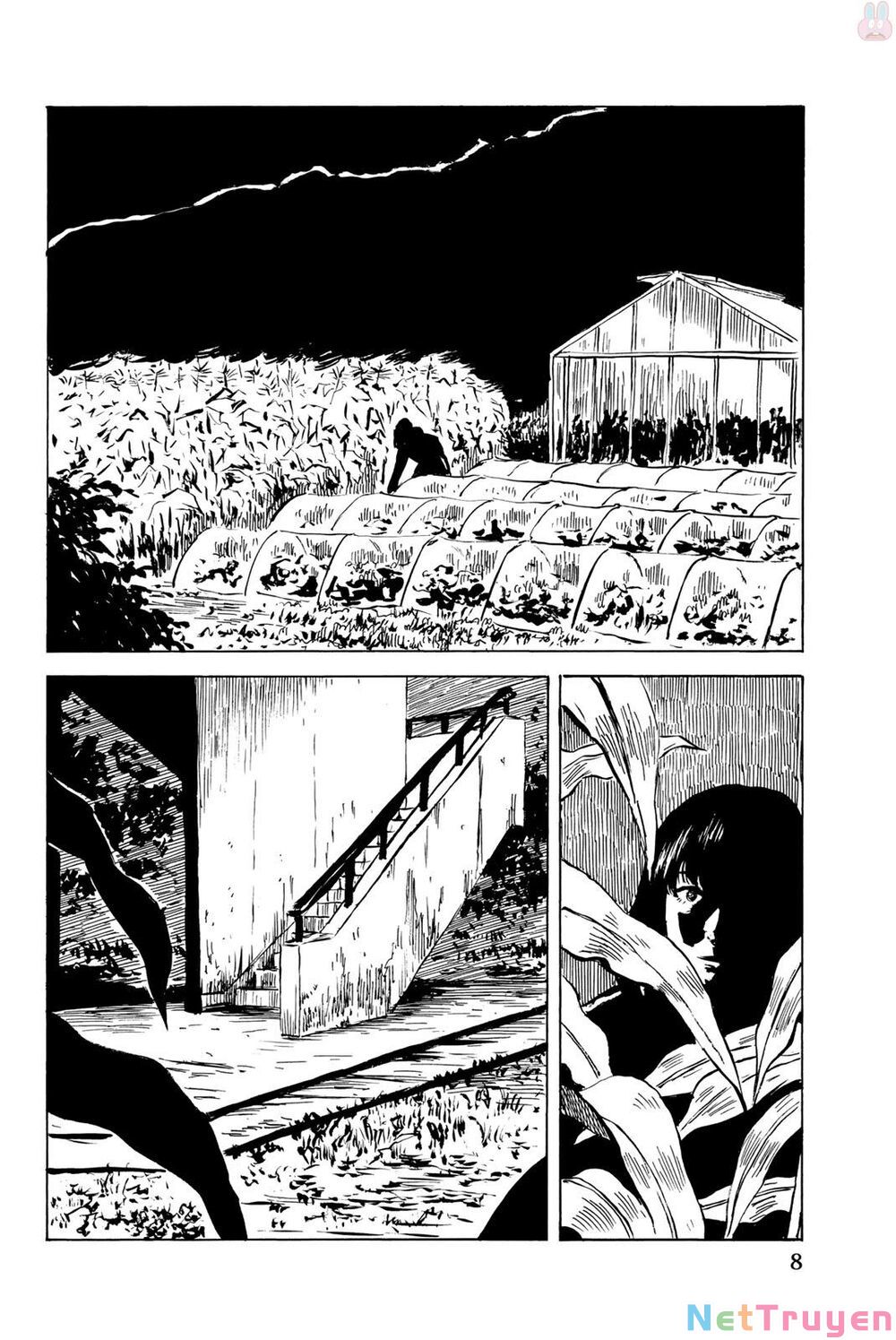 happiness chapter 31 8