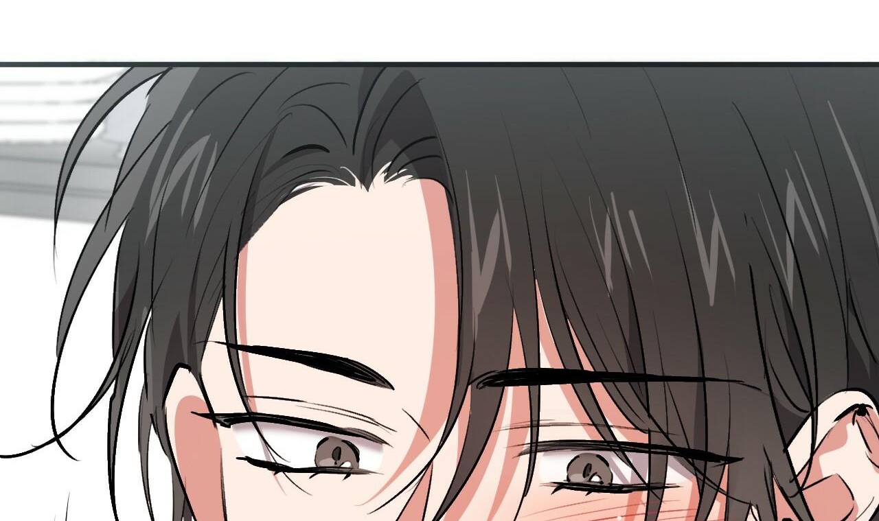 đàn thỏ của habibi chapter 44 34