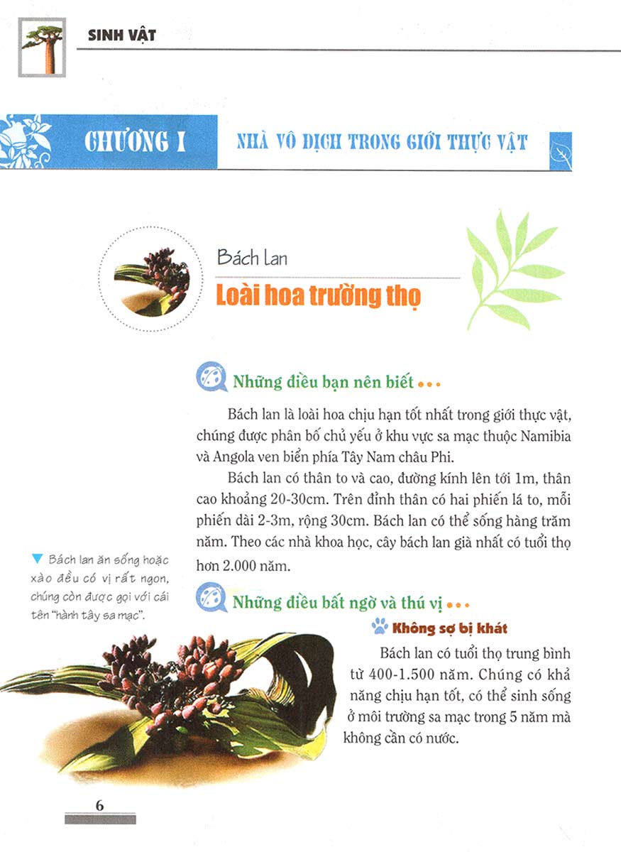 Khám Phá Bí Ẩn Thế Giới Tự Nhiên Dành Cho Học Sinh : Sinh Vật _ML