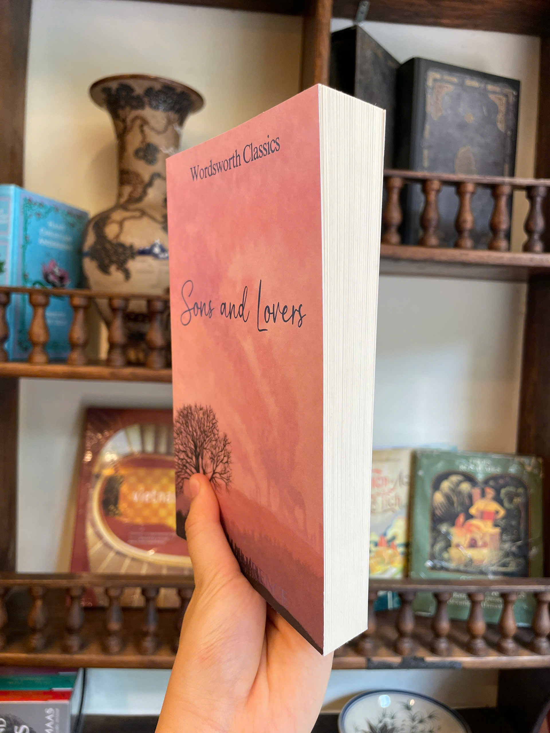 Sách - Sons and Lovers by D.H. Lawrence - Classics/Fiction/Literature book in English - Ngoại Văn